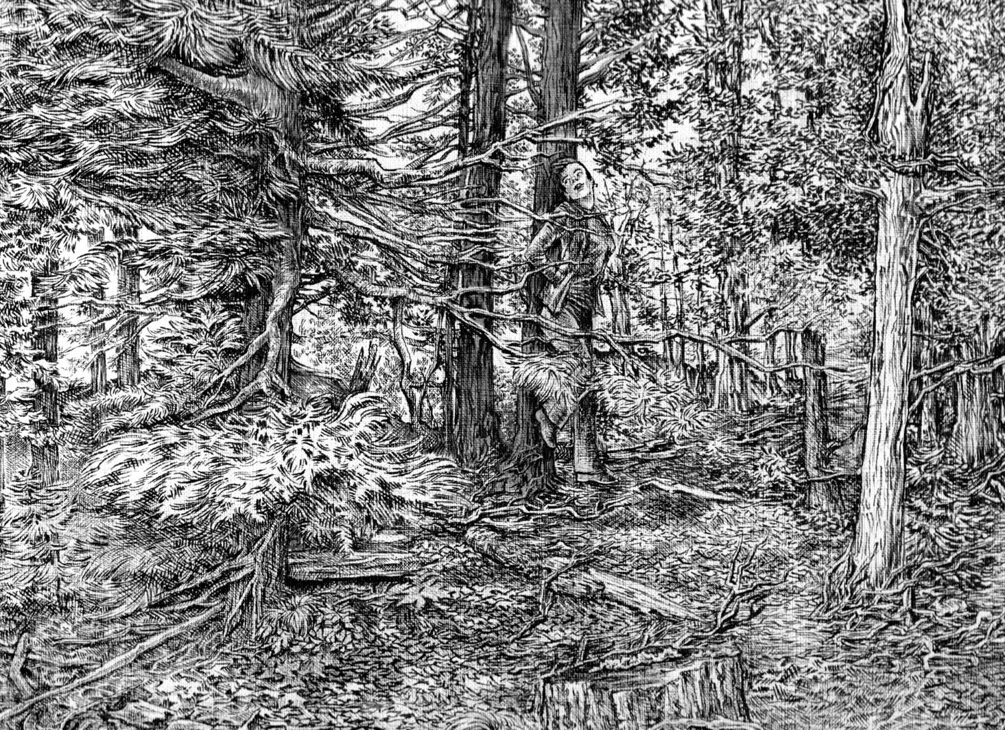 Muskoka Forest Walk