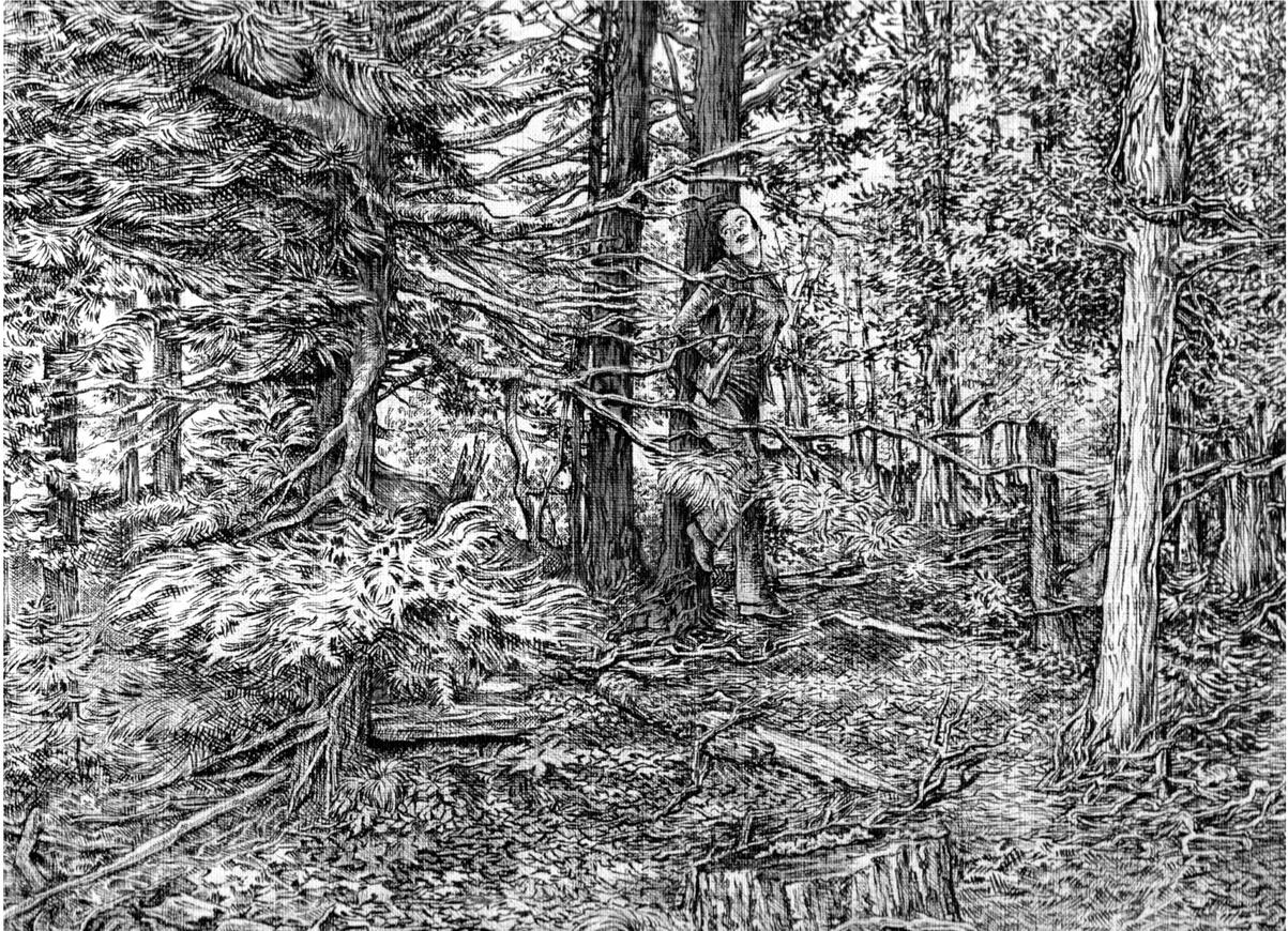 Crosshatched Inkwork Illustration